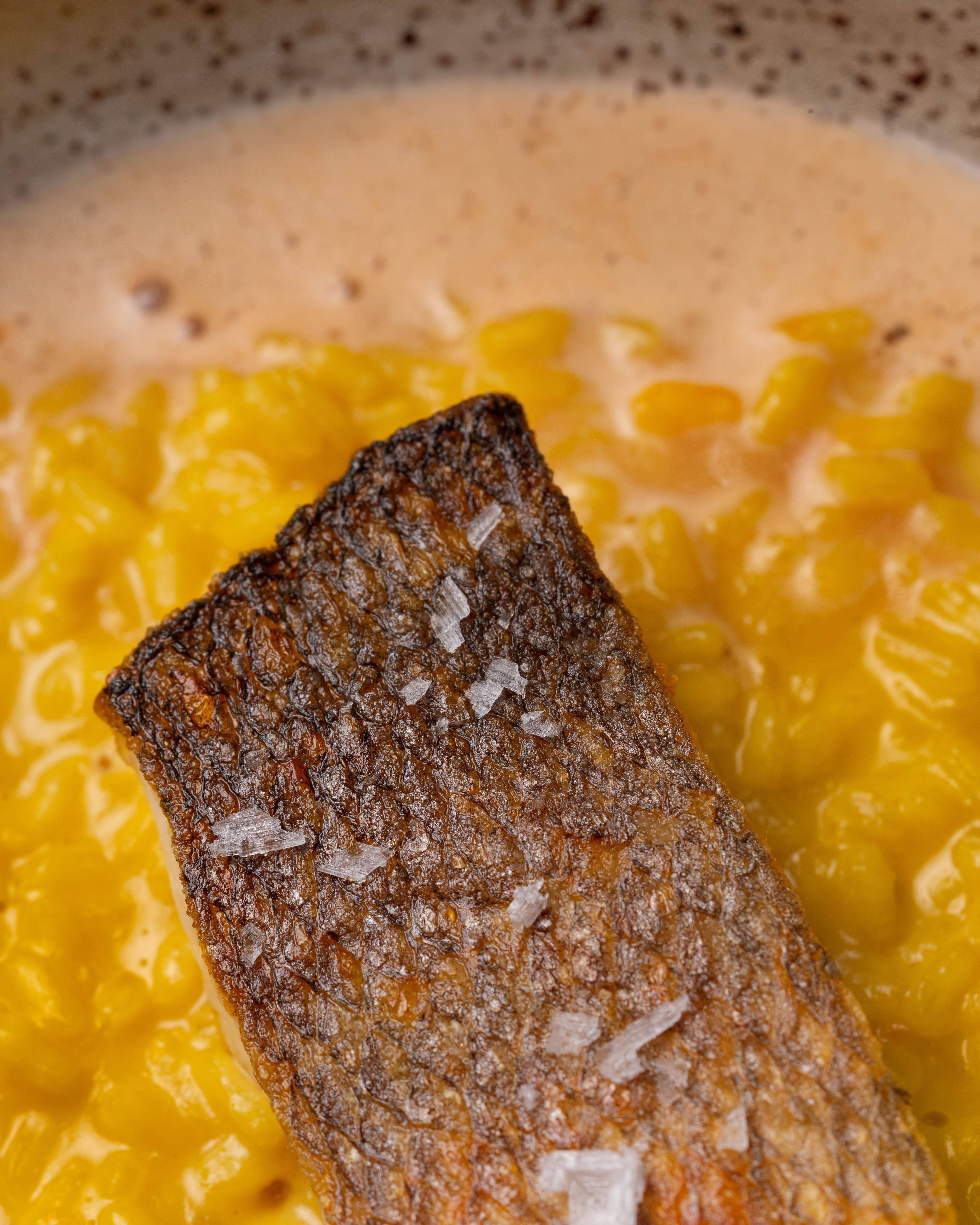 Fine dining fish dish with modern plating