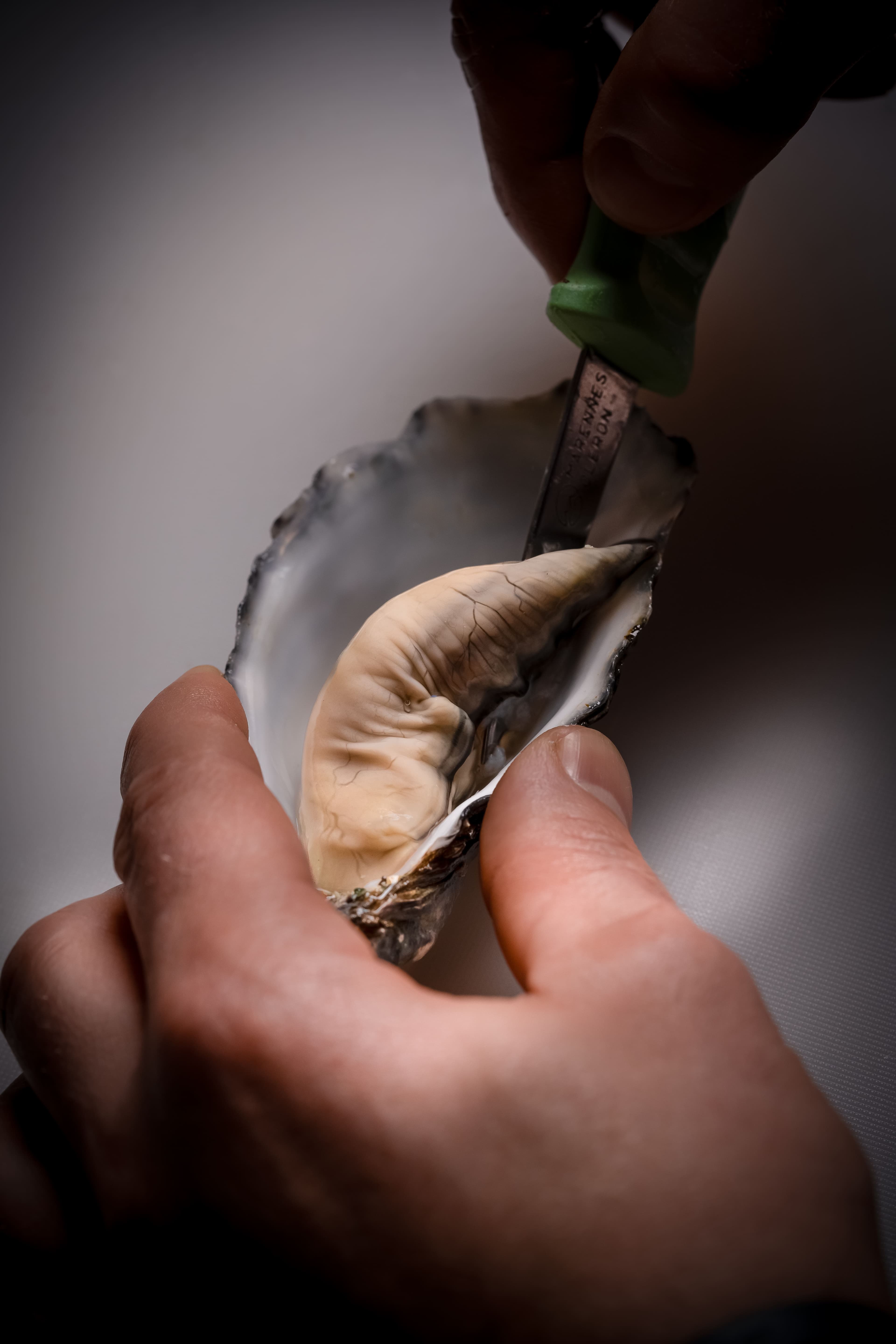 Oyster plate shot with elegant side light